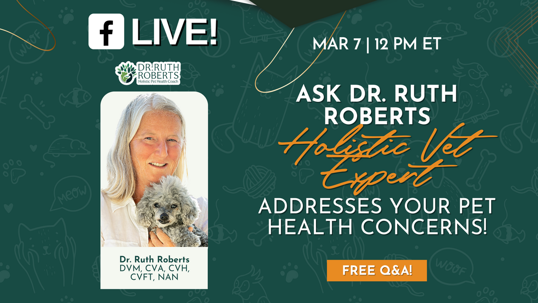 Live Q&A Session with Dr. Ruth Roberts: Expert Insights on Pet Health