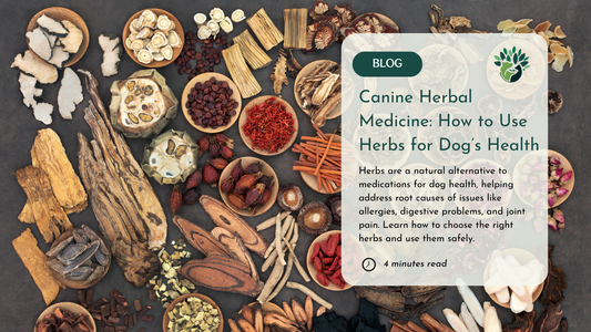 Blog thumbnail with dried herbs in wooden bowls. Text reads: 'Canine Herbal Medicine: How to Use Herbs for Dog’s Health,' highlighting natural remedies for dog health. 4-minute read.