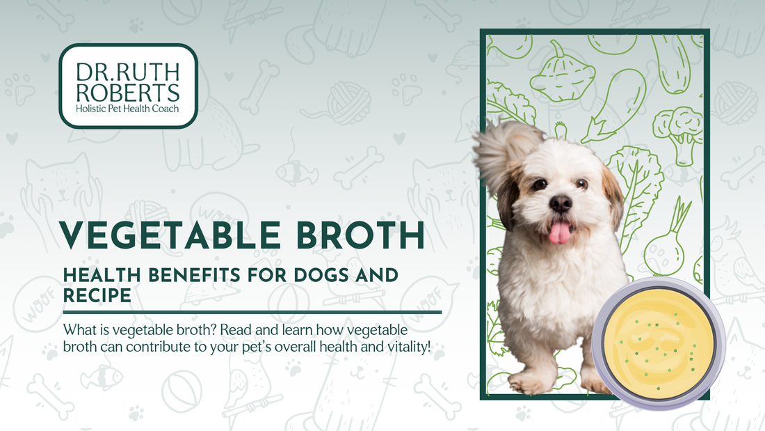 can dogs have vegetable broth