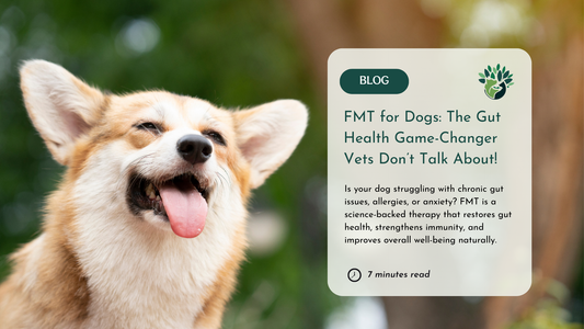 Happy Corgi with its tongue out against a green background. A beige text box displays the blog title about FMT for dogs, a brief description, and a '7-minute read' estimate.