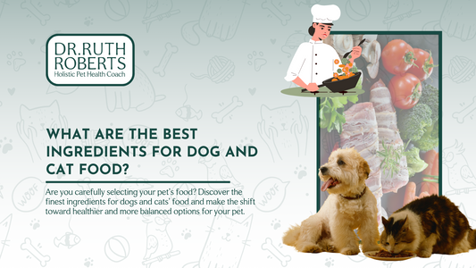 The Best Food Ingredients for Dog and Cat Food