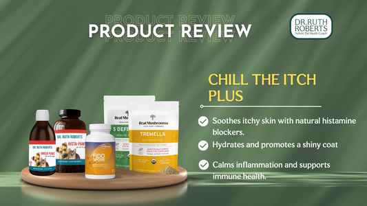 How to Alleviate Dogs Itchy Skin with Chill the Itch Plus