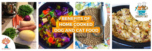 Benefits of Home Cooked Food For Dogs and Cats