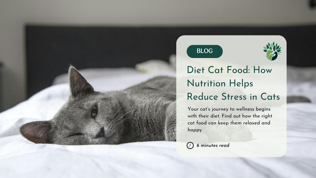 Diet Cat Food: Managing Stress Naturally for Anxious Cats