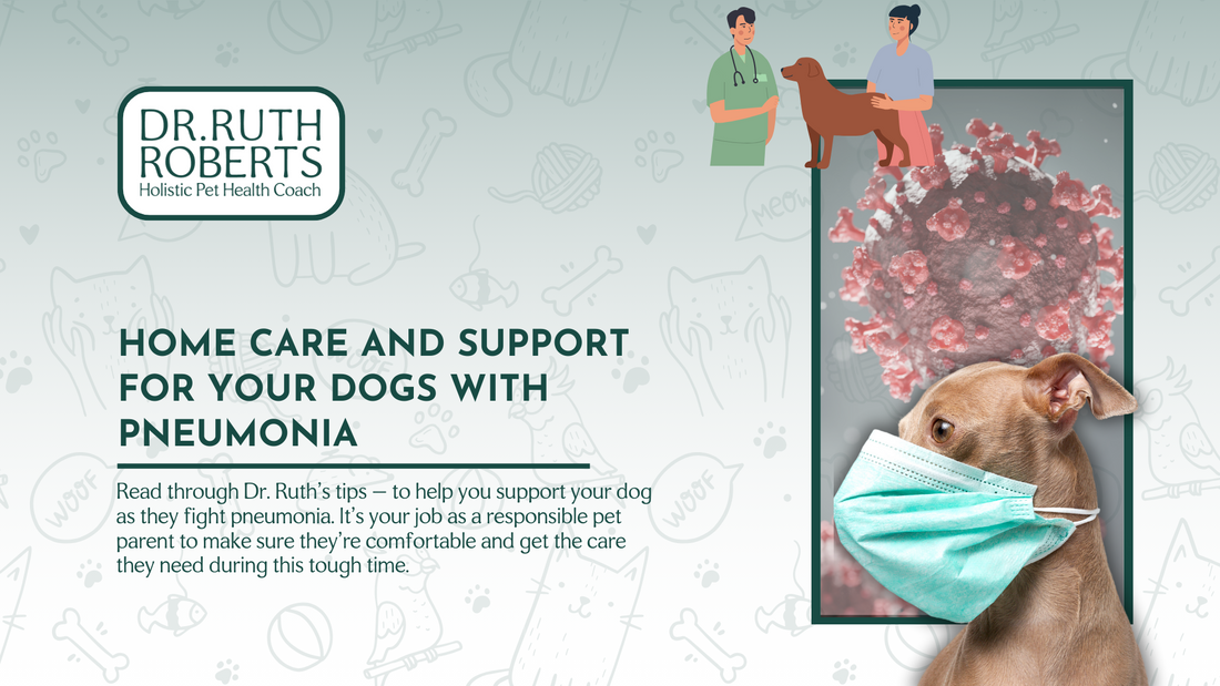 How To Help A Dog With Pneumonia At Home