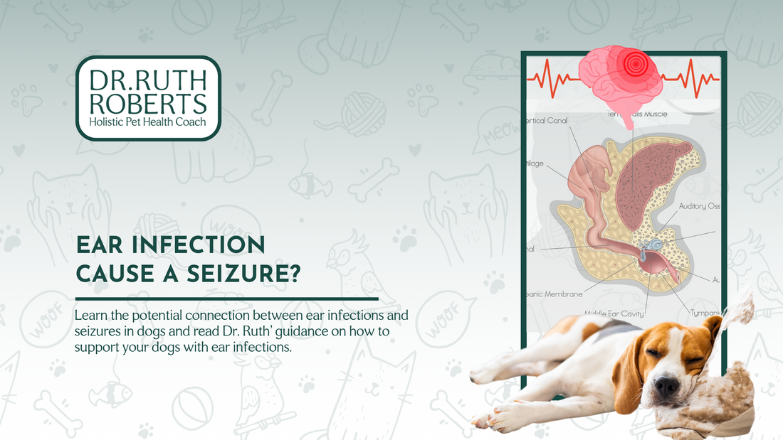 Can Ear Infections Cause Seizures in Dogs?