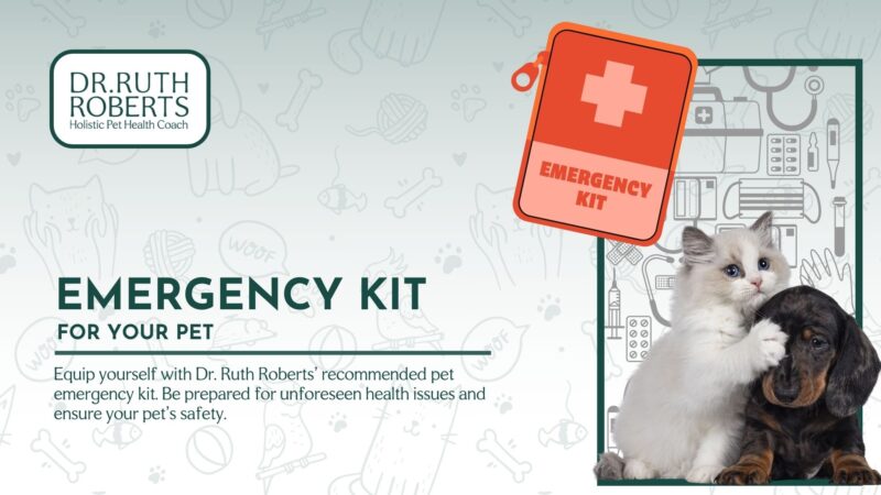 Are Your Pet Prepared? Eemergency Kit for Your Pets