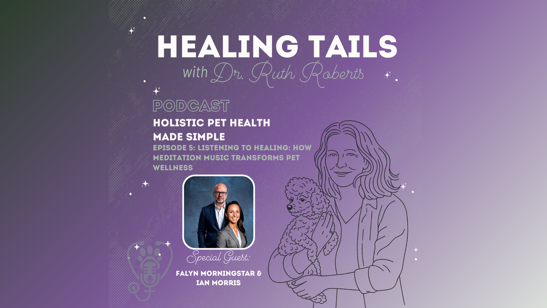 Dog Calming Music: A Practical Guide to Sound Therapy for Dogs and Cats