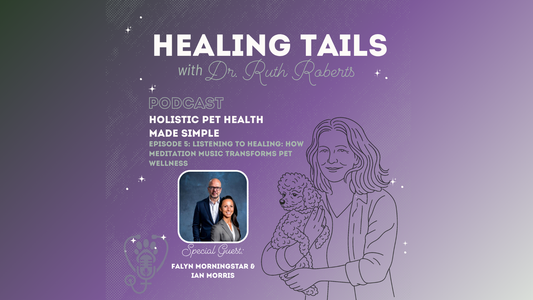 Dog Calming Music: A Practical Guide to Sound Therapy for Dogs and Cats