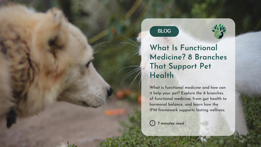 The 8 Branches of Functional Medicine for Pets: A Whole-Body Approach