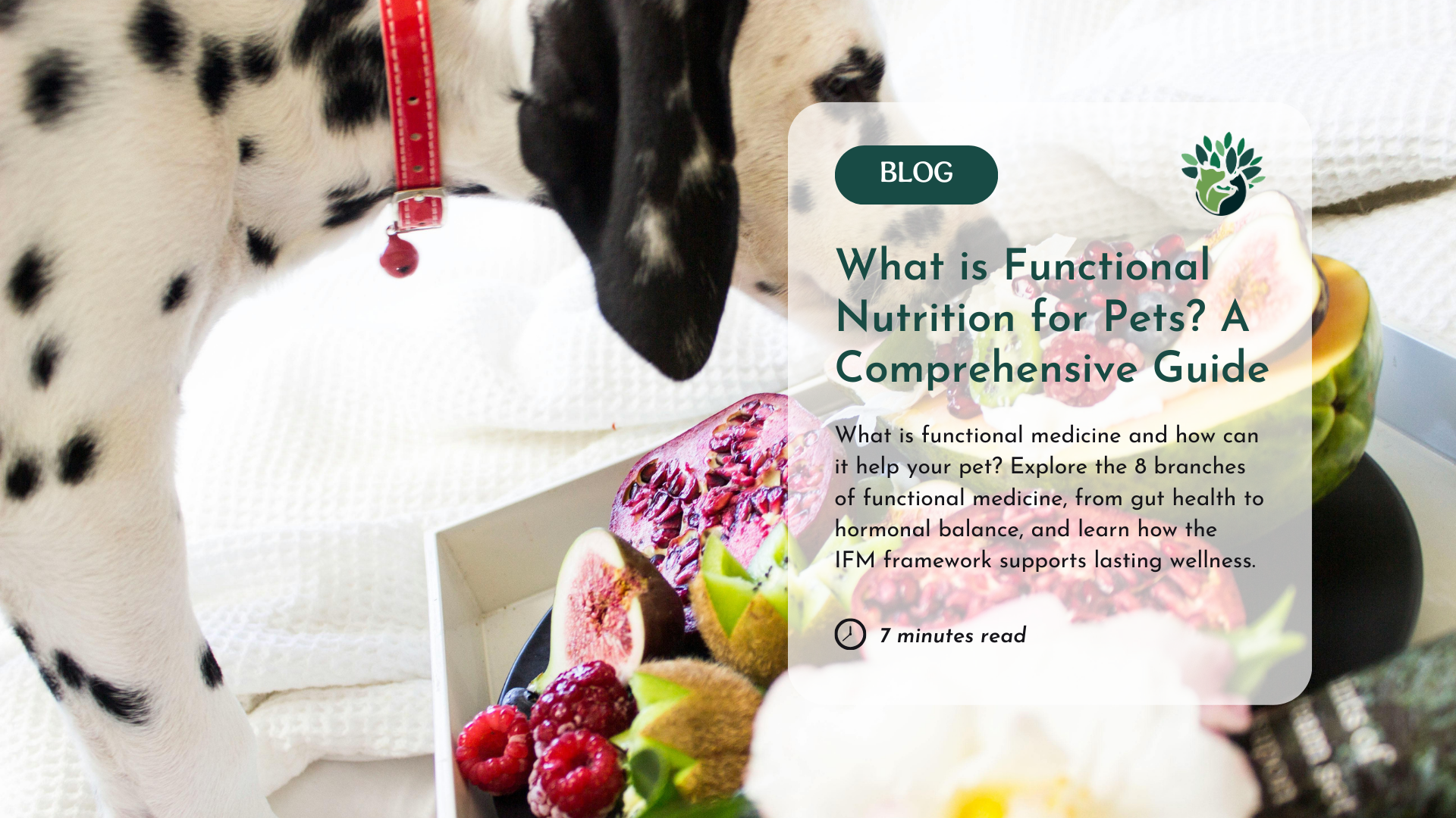 What’s the Best Diet for Dogs With Kidney Disease?