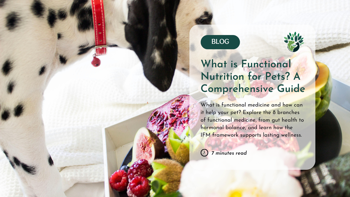 Functional Nutrition & Gut Health for Pets: From Food Therapy to the 5