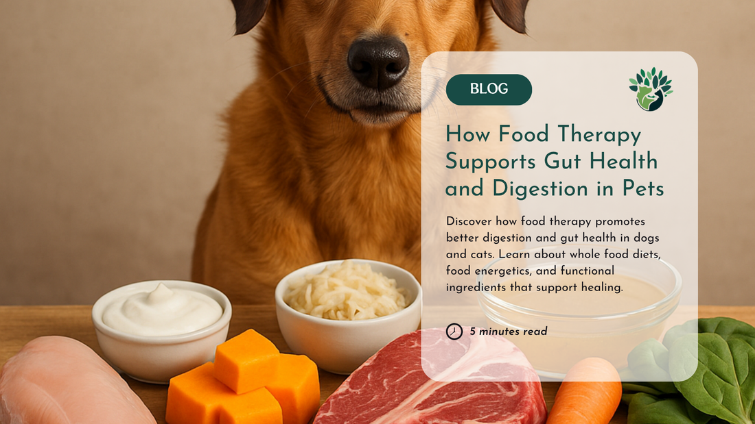 food therapy for dogs and cats