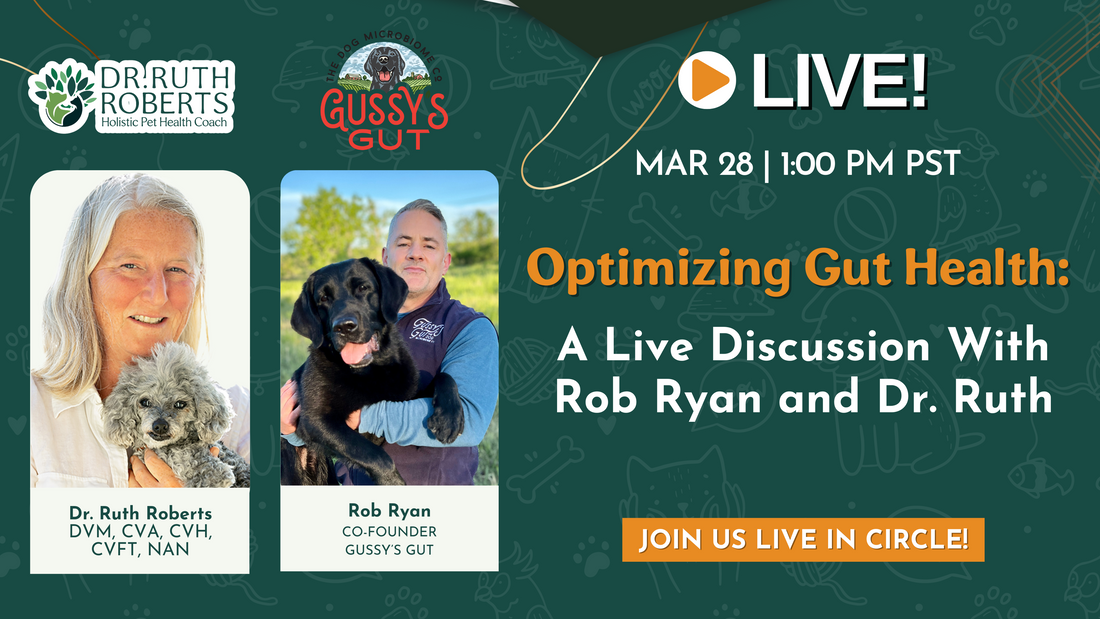 Optimizing Pet Gut Health: Live Discussion with Rob Ryan & Dr. Ruth