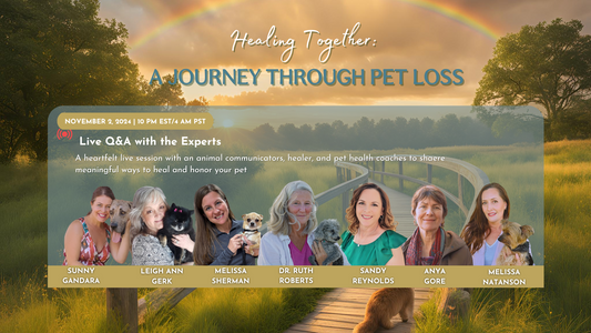 Healing Together: Insights and Takeaways from the Pet Loss Symposium