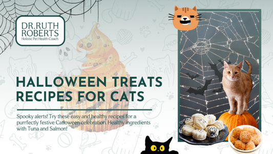 Halloween Cat Treats Recipes You Can Make At Home