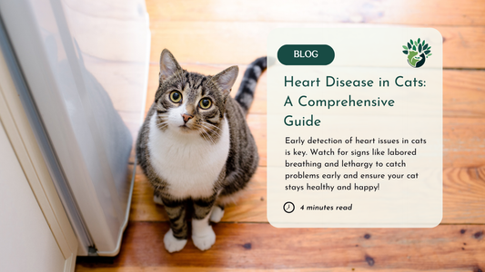 A blog cover image featuring a tabby cat on a wooden floor. The text highlights "Heart Disease in Cats: A Comprehensive Guide," stressing early detection. A clock icon indicates a 4-minute read.