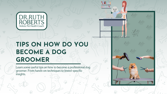 How Do You Become A Dog Groomer?