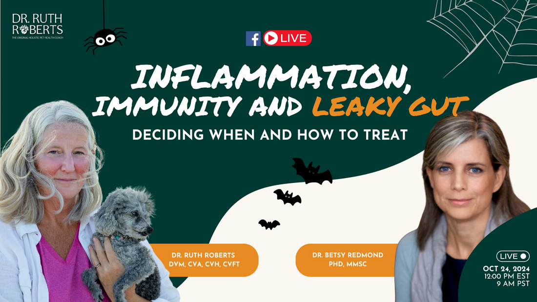 The Connection Between Leaky Gut, Immunity, and Inflammation