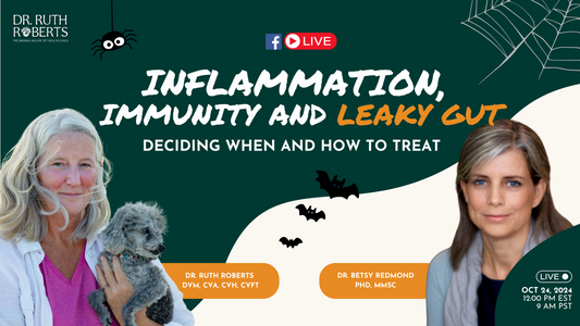 The Connection Between Leaky Gut, Immunity, and Inflammation