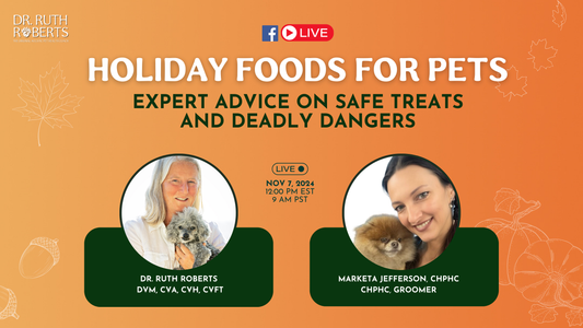 Holiday Foods for Pets: Expert Advice on Safe Treats and Dangerous Foods
