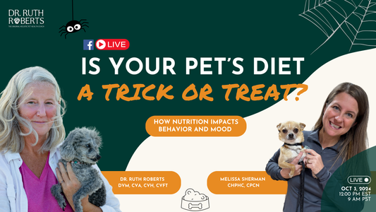 Is Your Pet’s Diet a Trick or Treat? How a Whole Food Diet Can Improve Dog and Cat Behavior
