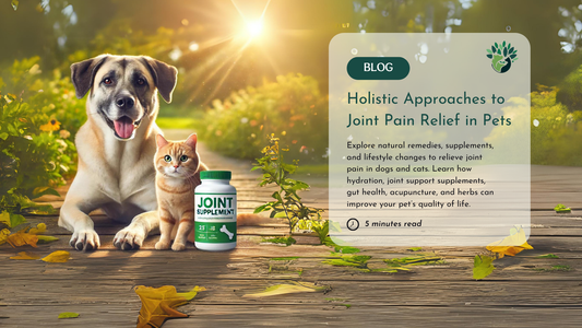 Natural and Effective Strategies to Relieve Joint Pain in Dogs and Cats