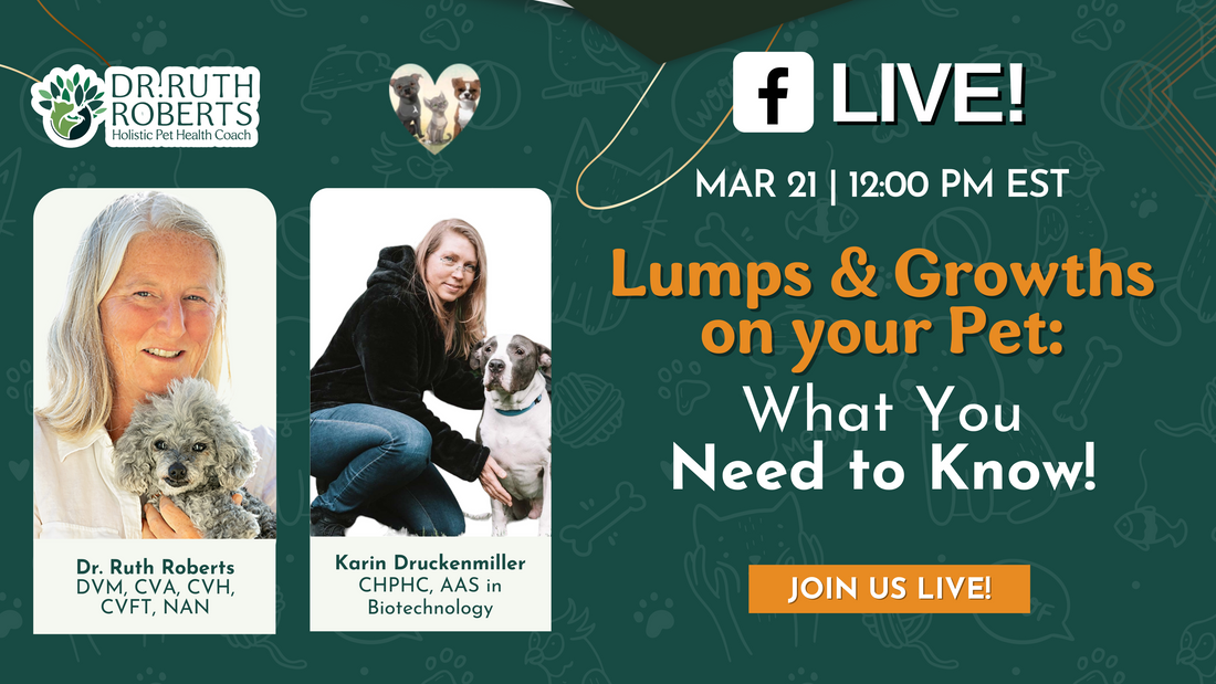 HPHC Live with Karin Druckenmiller: Understanding Lumps & Growths on Your Pet