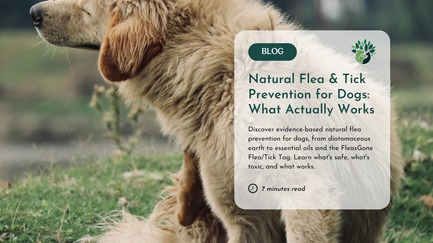 Pet Health And Flea Preventative Toxicity photo