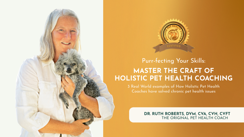 HPHC Workshop: Transform Your Passion for Animals into a Rewarding Car