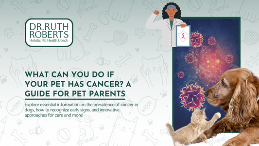 First-Time Facing Pet Cancer? A Guide for Worried Pet Parents