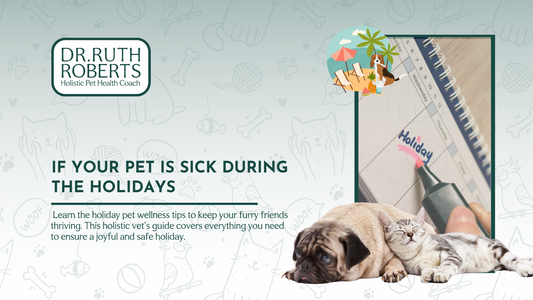 A Holistic Vet's Guide to Keeping Your Pets Safe During Holiday