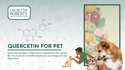 Quercetin Health Benefits for Dogs and Cats