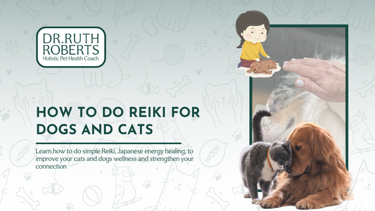 Japanese Energy Healing: Reiki For Dogs and Cats