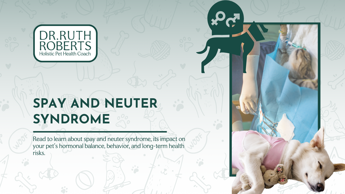 What Is Spay and Neuter Syndrome?