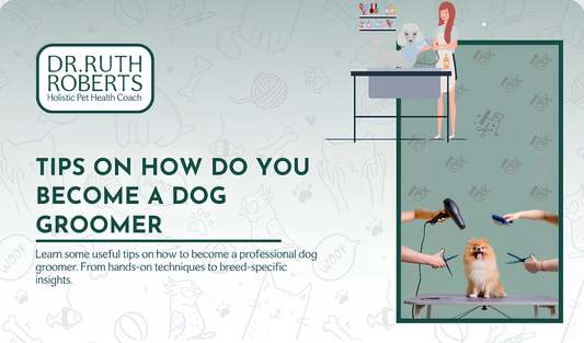 A graphic for Dr. Ruth Roberts titled "Tips on Becoming a Dog Groomer," showing a dog being groomed.