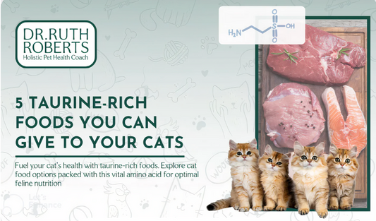 "5 Taurine-Rich Foods for Cats" by Dr. Ruth Roberts, featuring raw meat and five fluffy kittens.