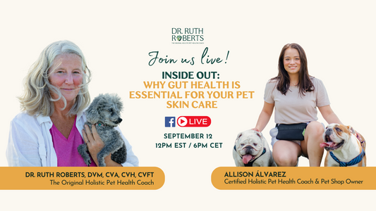 Inside Out: Why Gut Health is Essential for Your Pet's Skin Care
