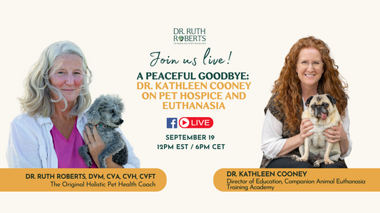 Home Euthanasia & Pet Hospice: A Gentle Approach to End-of-Life Care for Cats and Dogs