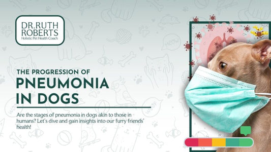 What Are the Stages of Pneumonia in Dogs?