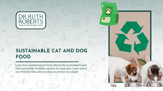 Sustainable Cat and Dog Food: Nurturing Pets and Planet