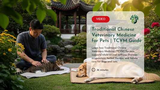Traditional Chinese Veterinary Medicine