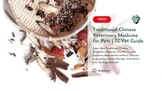 Traditional Chinese Veterinary Medicine for Pets: Integrating Acupuncture, Herbal Therapy, and Holistic Care