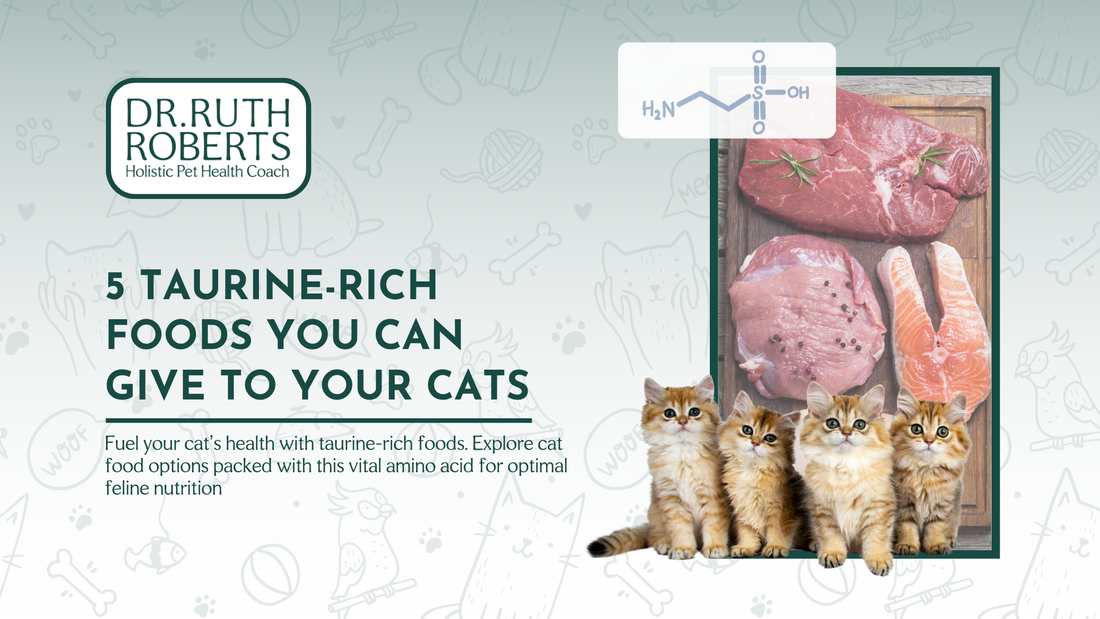 5 Foods with Taurine for Cats and Their Health Benefits