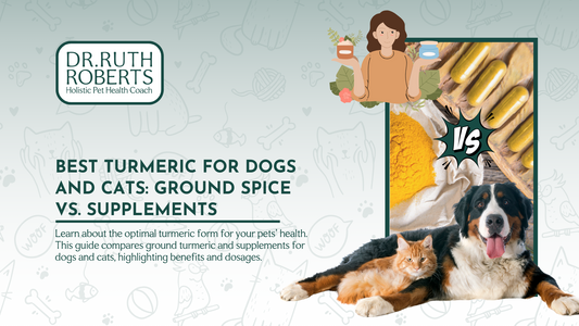 The Best Turmeric Option for Your Pets: Ground vs. Supplement