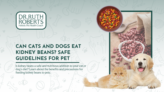 Can Cats and Dogs Safely Eat Kidney Beans?