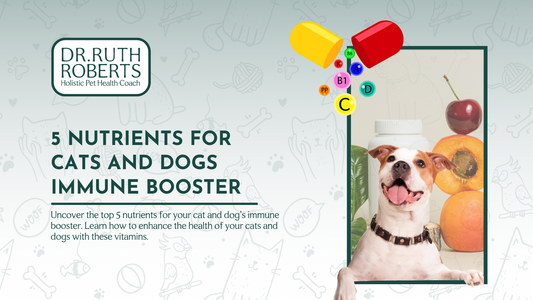 5 Best Nutrients as Immune Booster for Dogs and Cats