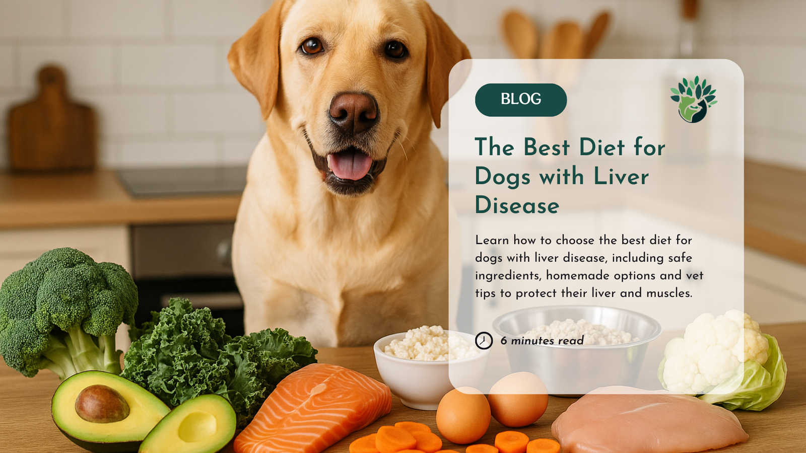 sermorelin vs ipamorelin vs cjc-1295 ipamorelin cjc 1295 troche Sermorelin vs CJC-1295/Ipamorelin: Why Modern  Medical Clinics Have Moved to the Stack