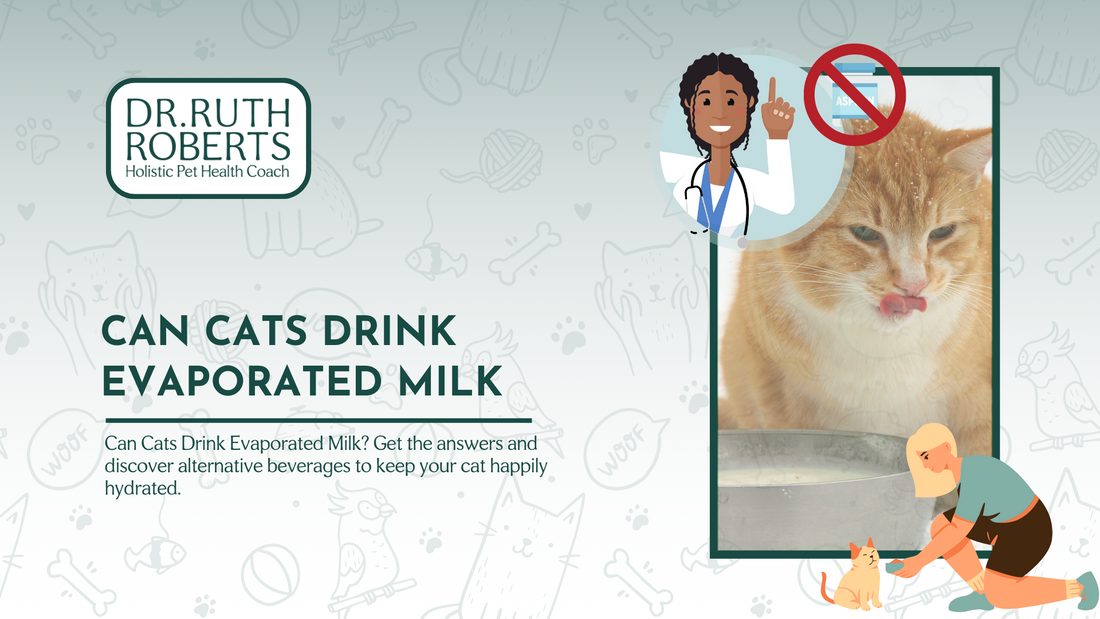 can cats drink evaporated milk