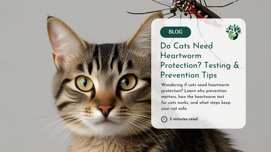Do Cats Need Heartworm Protection?